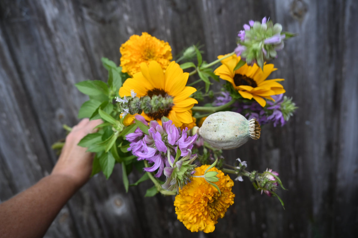 Seasonal Cut Flower Bouquet - Small