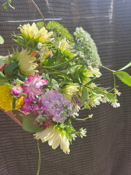 Seasonal Cut Flower Bouquet - Medium