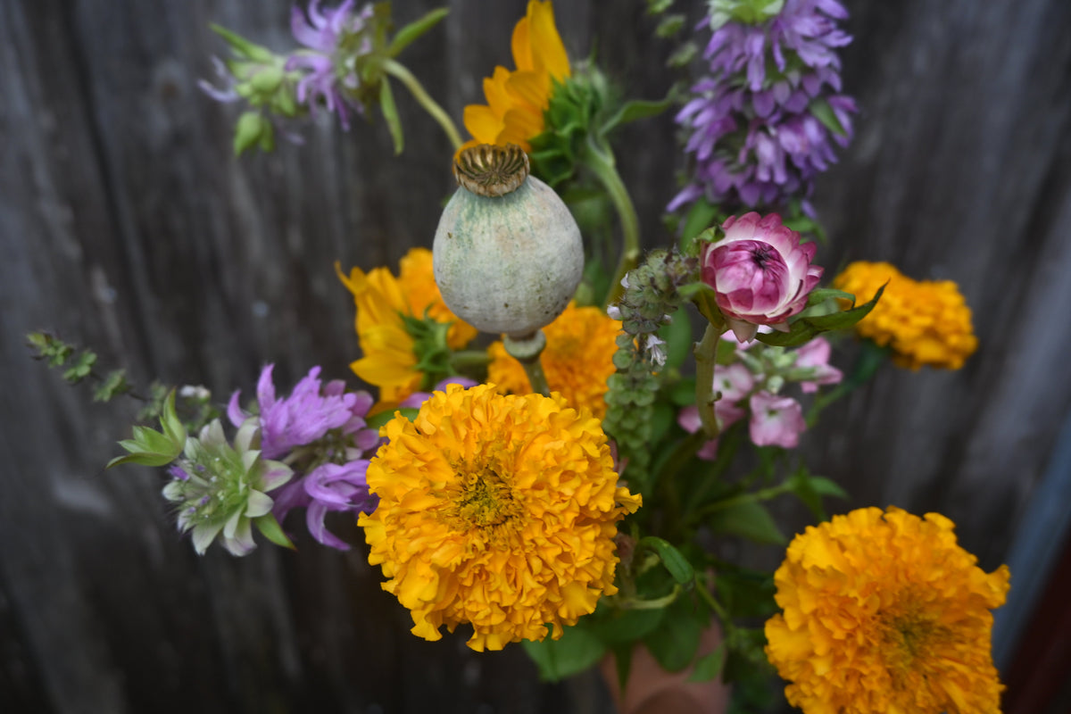 Seasonal Cut Flower Bouquet - Large