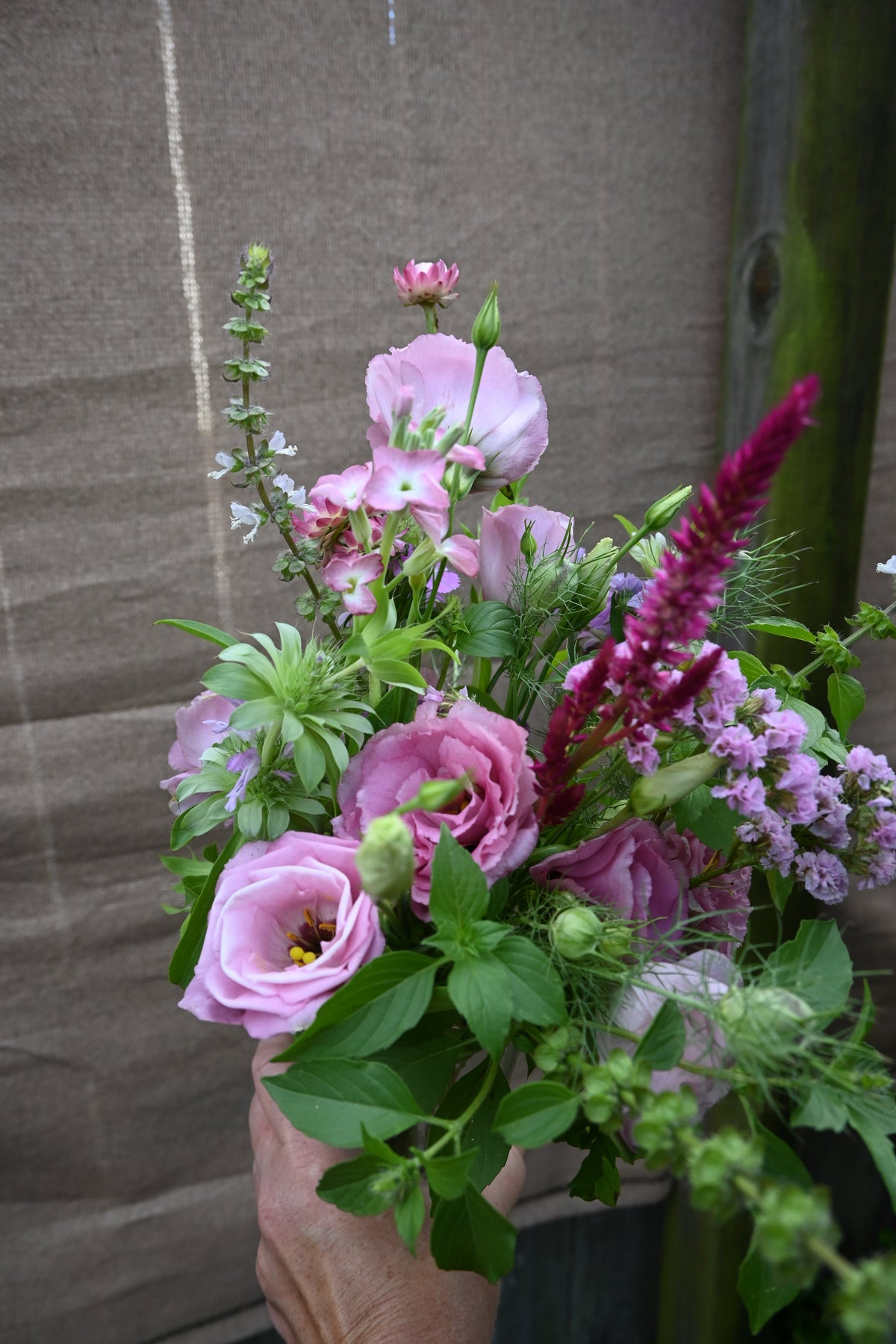 Seasonal Cut Flower Bouquet - Small