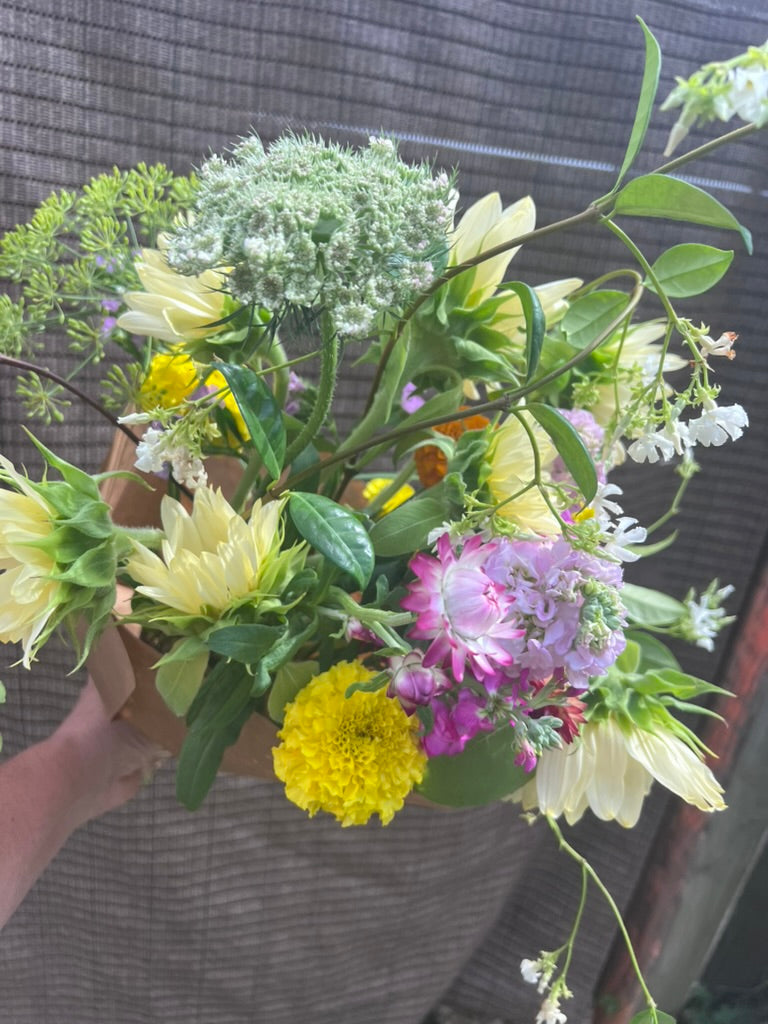 Seasonal Cut Flower Bouquet - Medium