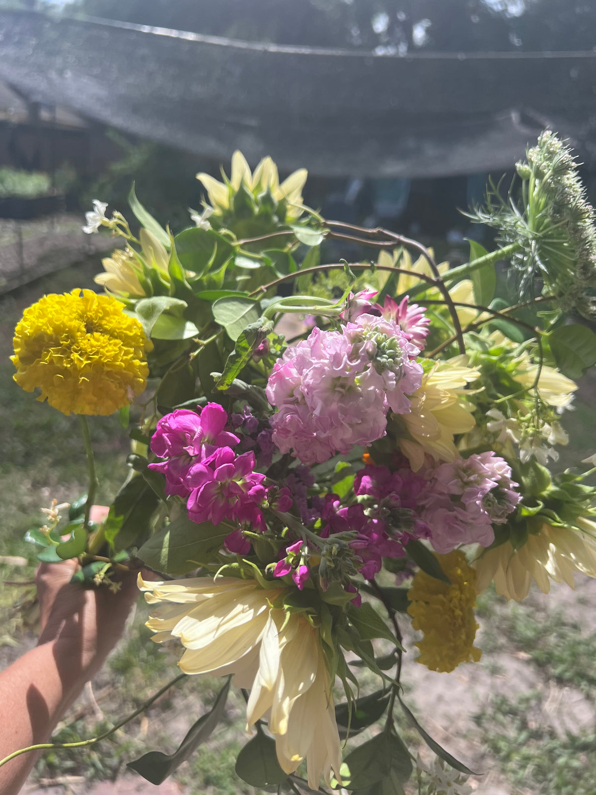 Seasonal Cut Flower Bouquet - Large
